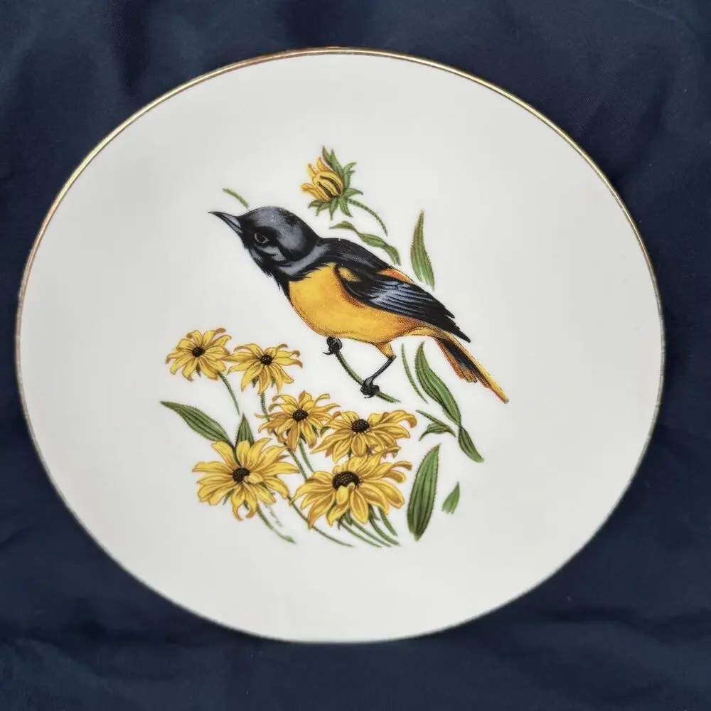 SCHUMANN Arzberg‎ Bavaria Oriole Bird Plates Gold Rimmed 8” Vintage  [COPY]